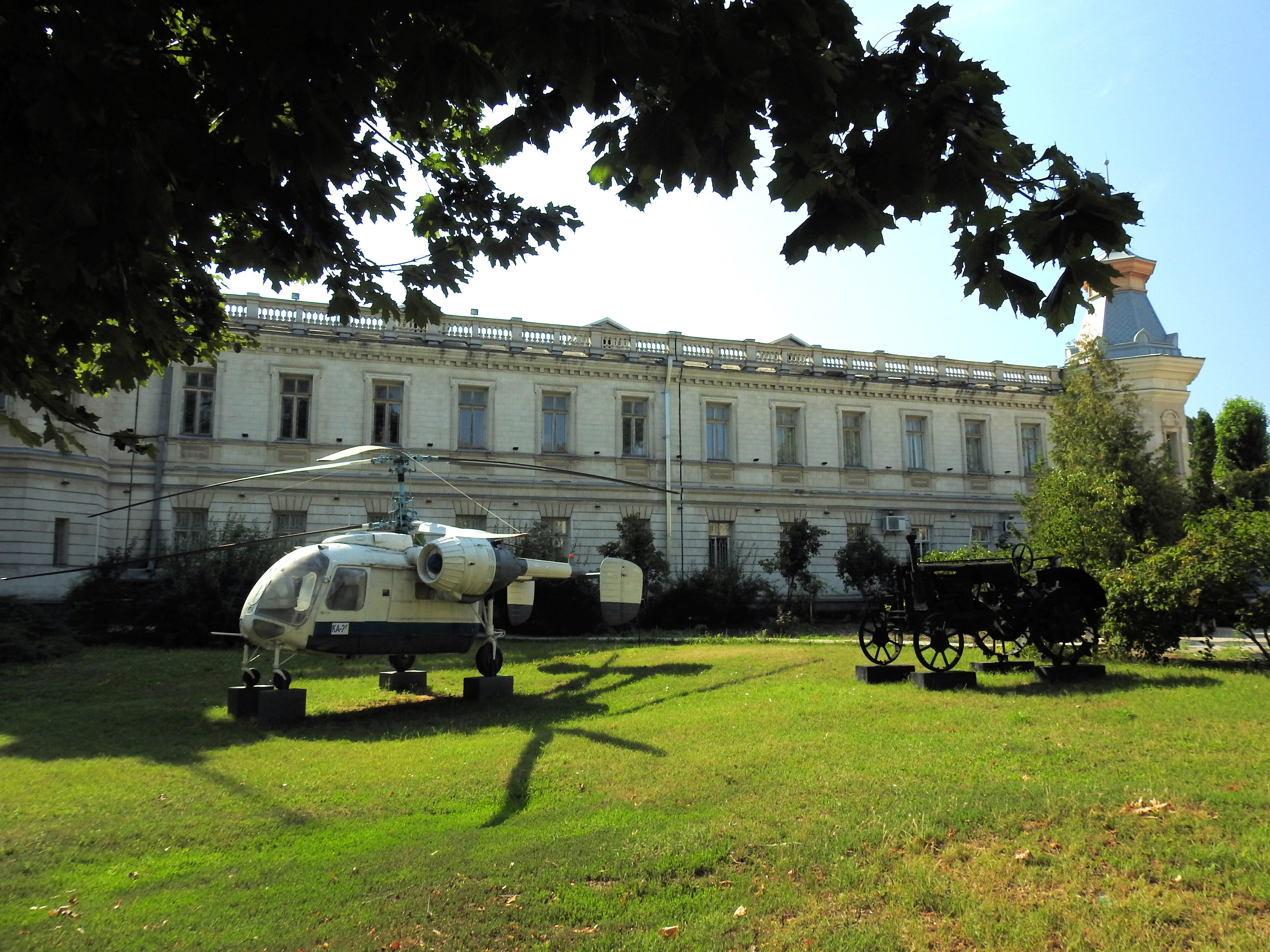 绿地